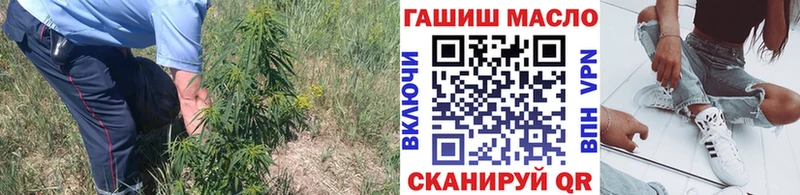 Купить где  Мамоново  ТГК жижа 