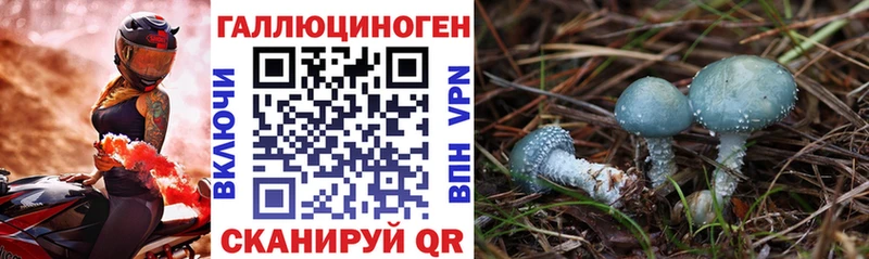 Галлюциногенные грибы ЛСД  Купить где  Мамоново 