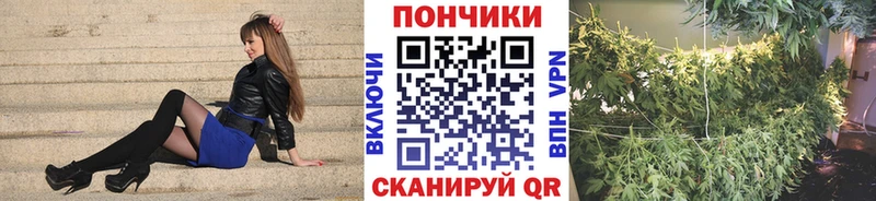 Купить где Мамоново МАРИХУАНА AK-47